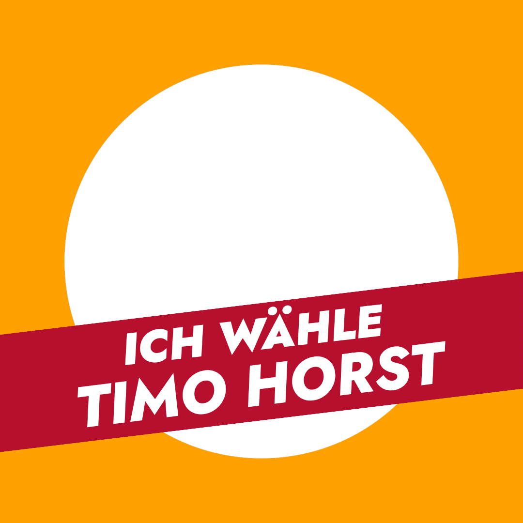 Ich wähle Timo Horst